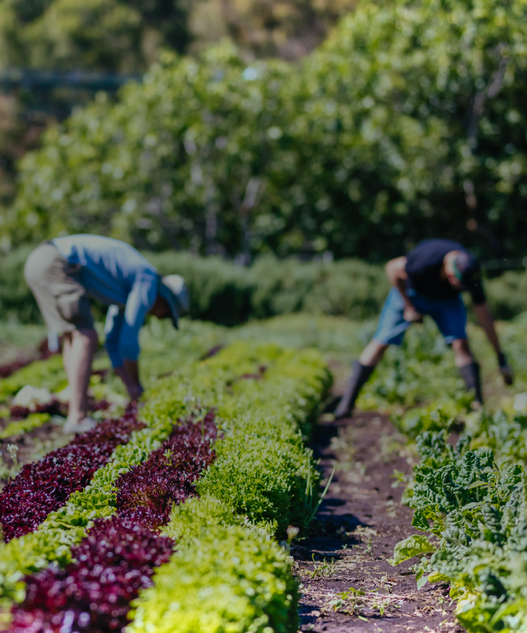 特定技能外国人の受け入れならFloritiocイメージ01