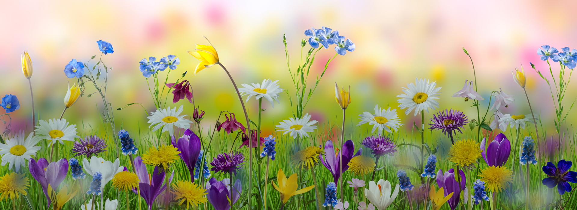 特定技能外国人の受け入れならFloritiocイメージ05