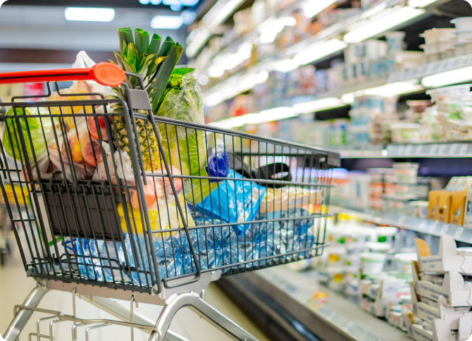 入国・生活準備イメージ